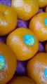 Tangerine